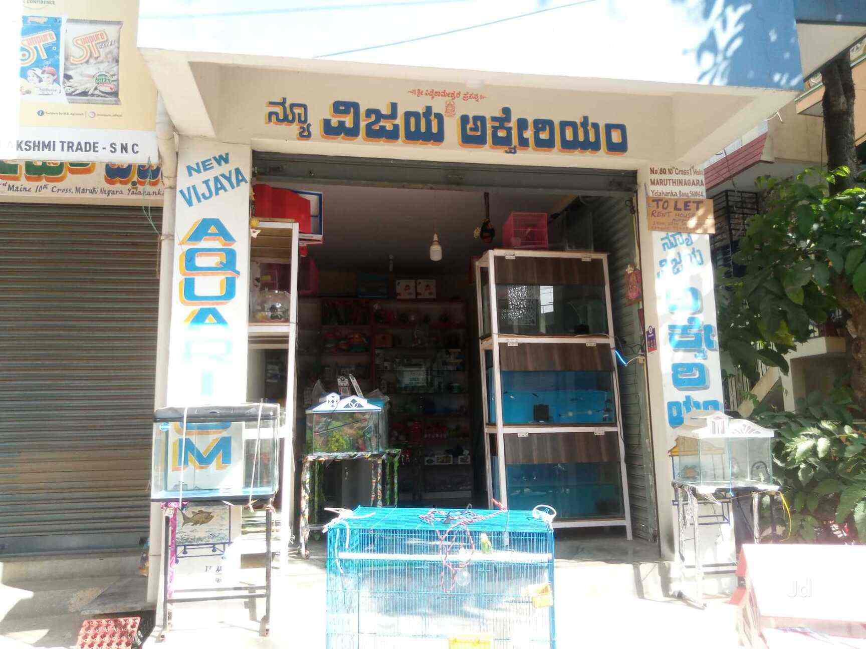 New Vijaya Aquarium in Yelahanka,Bangalore Best Aquarium Accessory