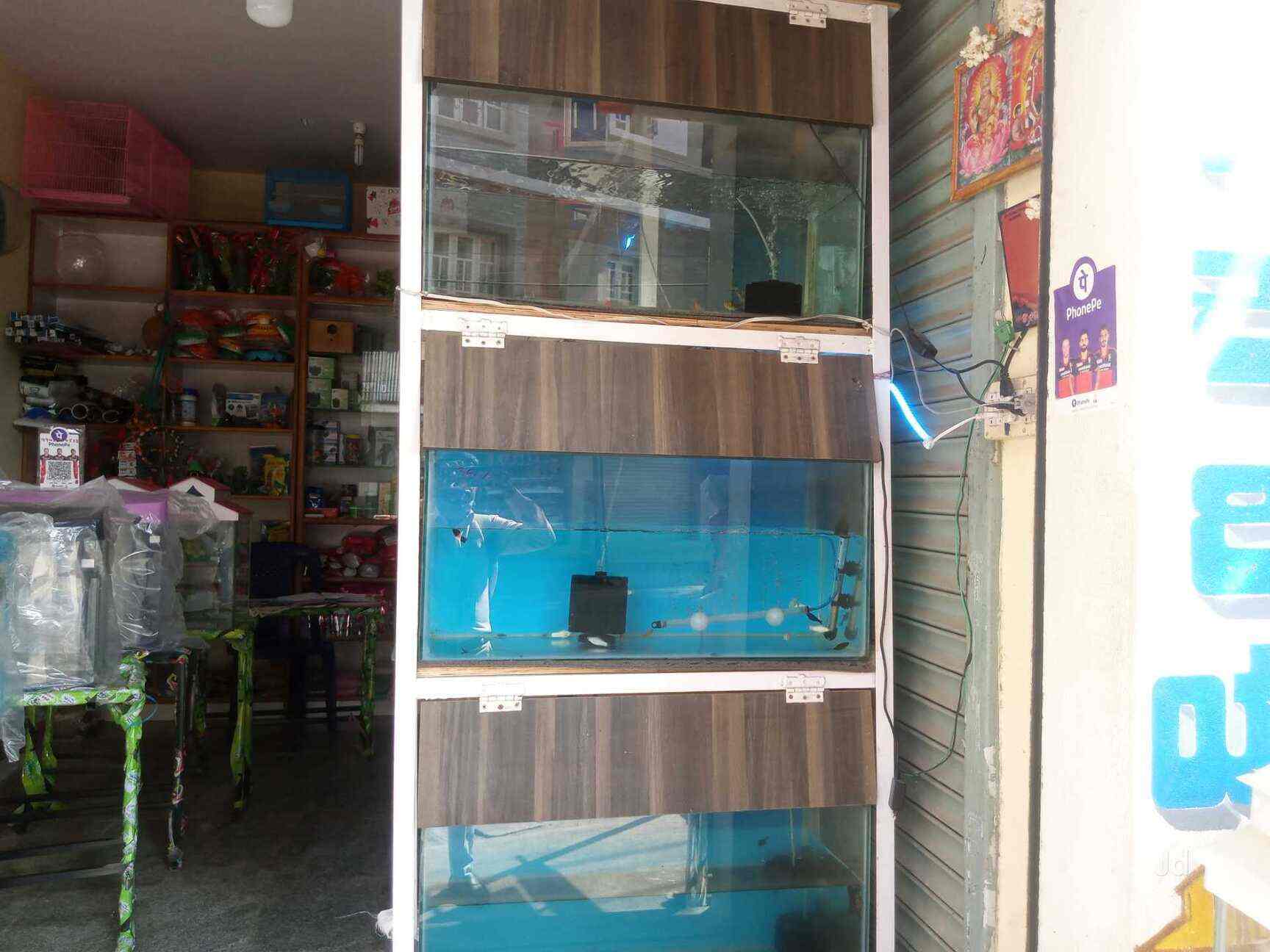 New Vijaya Aquarium in Yelahanka,Bangalore Best Aquarium Accessory
