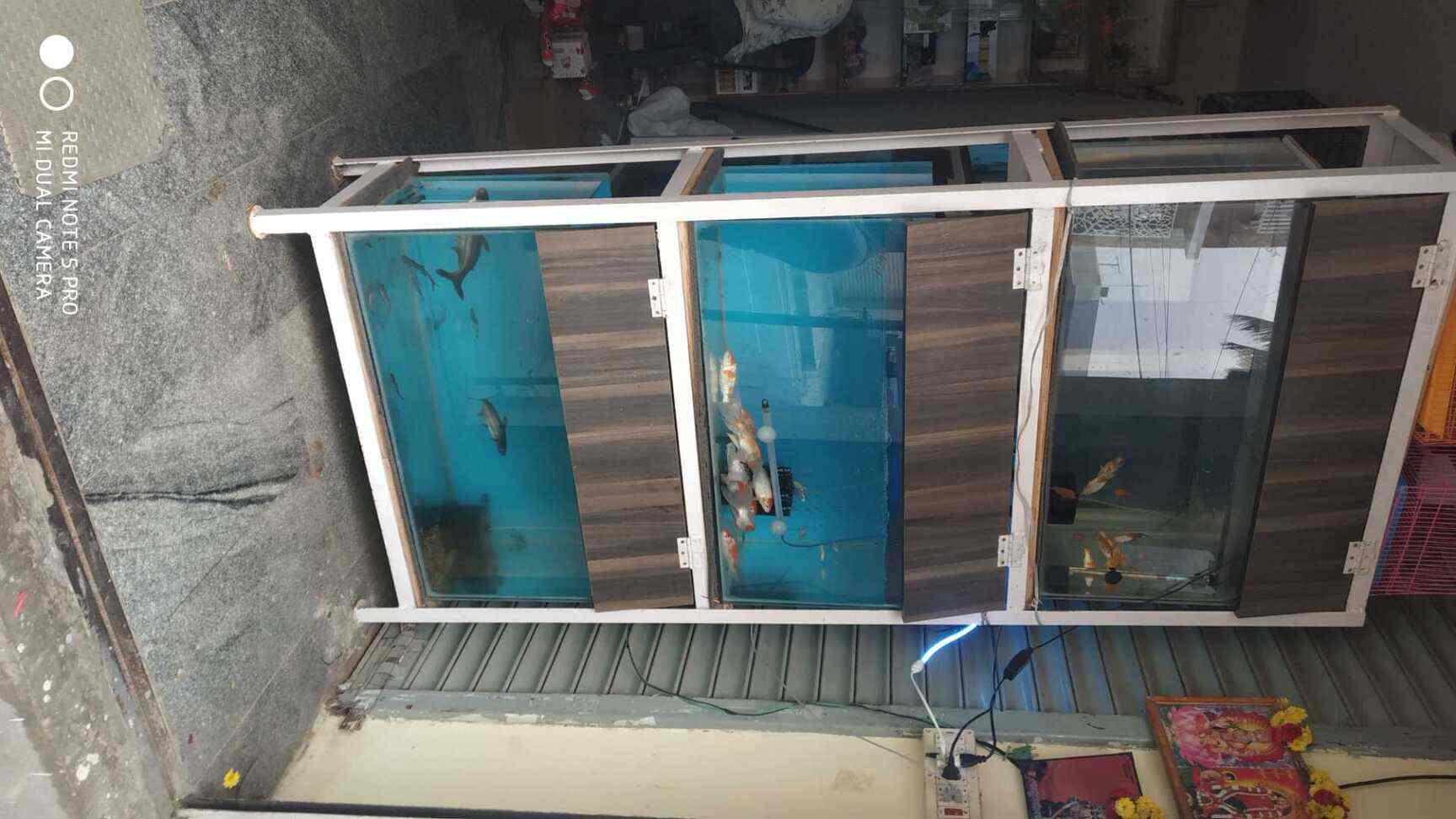 New Vijaya Aquarium in Yelahanka,Bangalore Best Aquarium Accessory