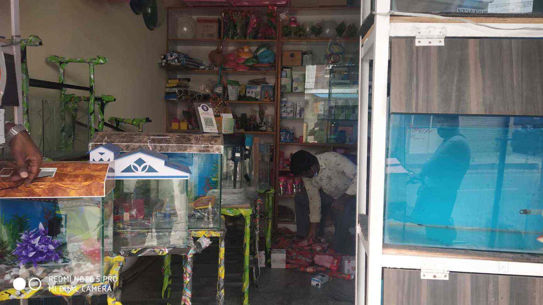 New Vijaya Aquarium in Yelahanka,Bangalore Best Aquarium Accessory