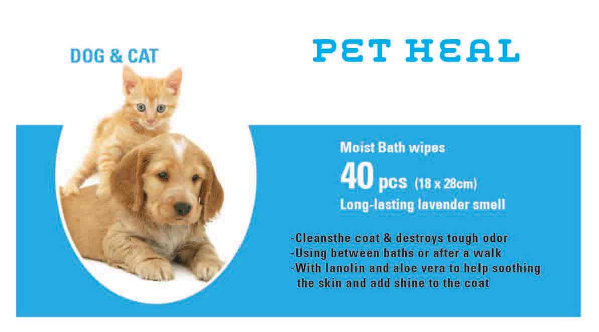 Top Pet Shops in Bangalore Best Pet Store near me Justdial