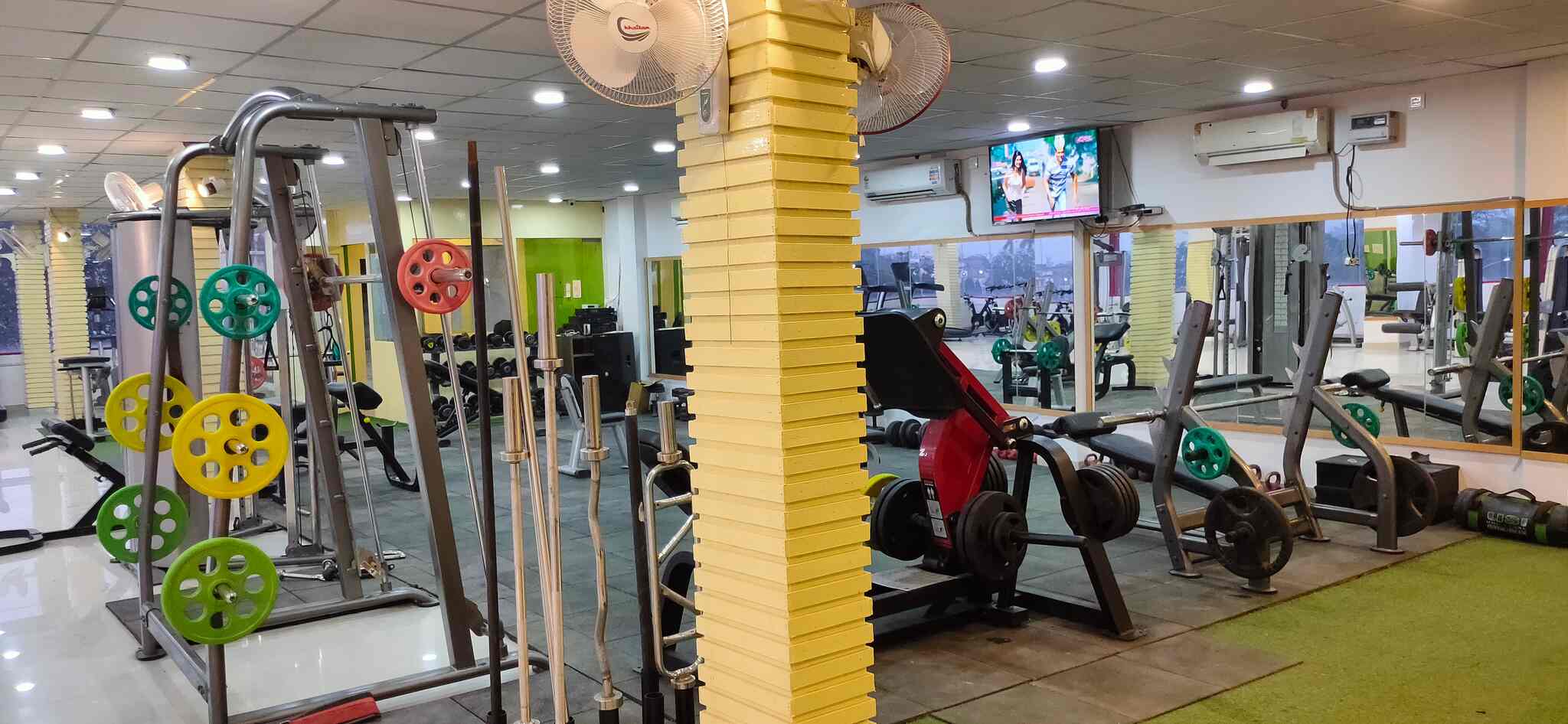 Top Yoga Classes in Suratganj Best Online Yoga Classes near me Justdial