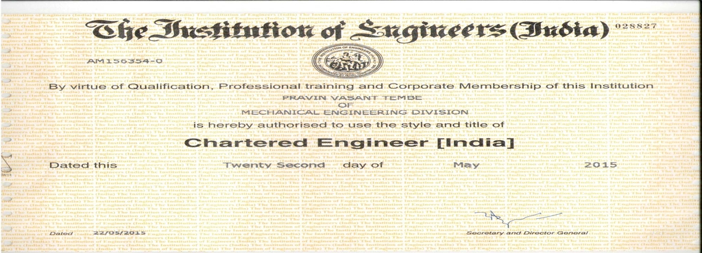 tembe competent services
