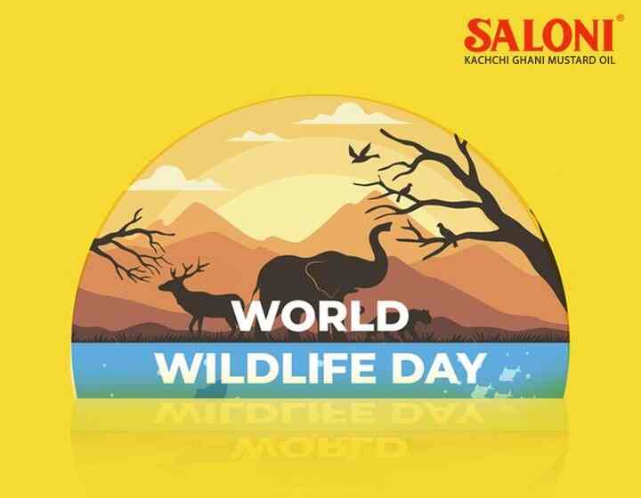 Mahesh Edible Oil Ind. Ltd Kota (Raj.) in Baran HO,Baran Best Mustard