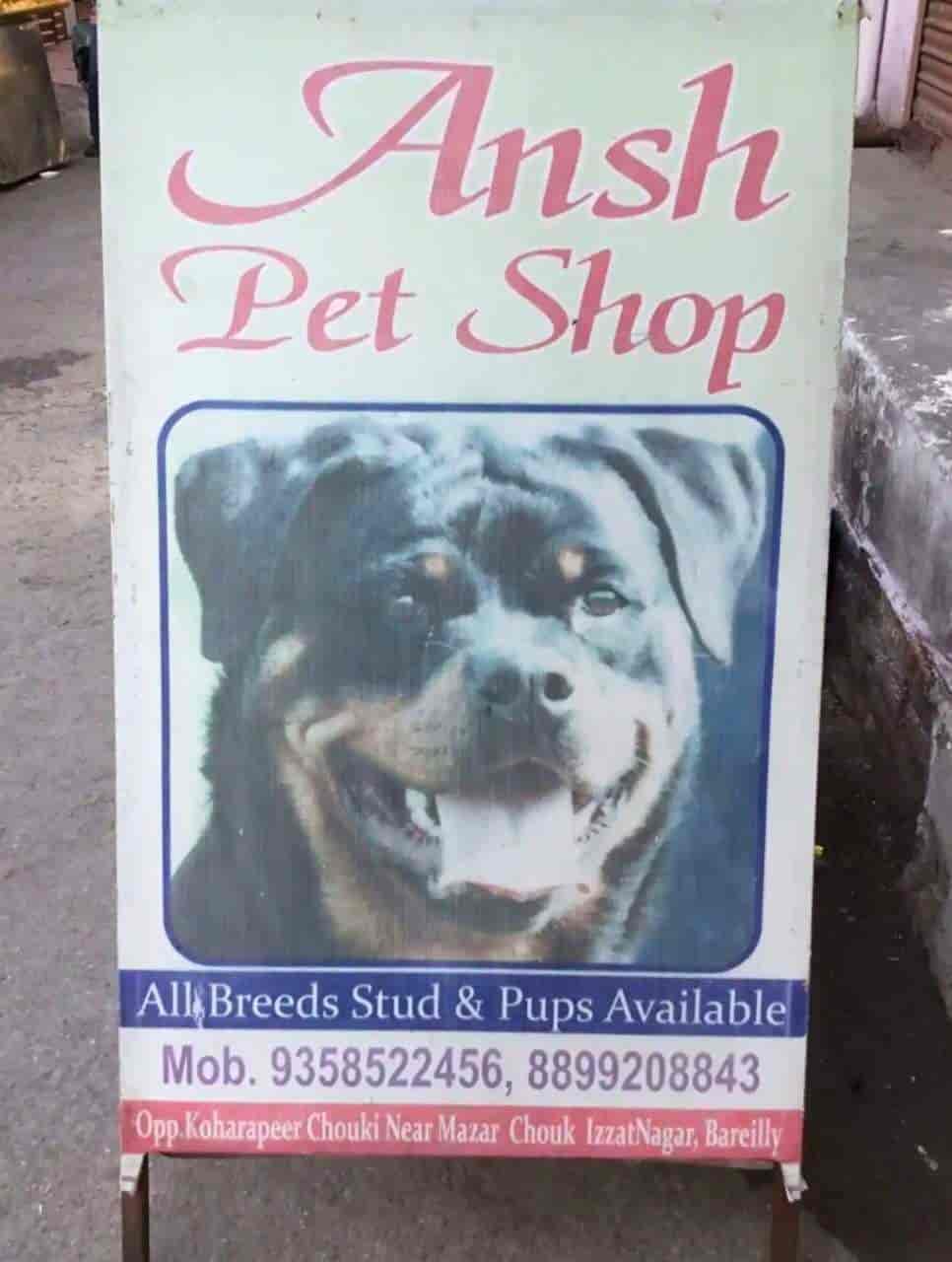 Ansh Pet Shop in Koharapeer,Bareilly Best Pet Shops in Bareilly Justdial