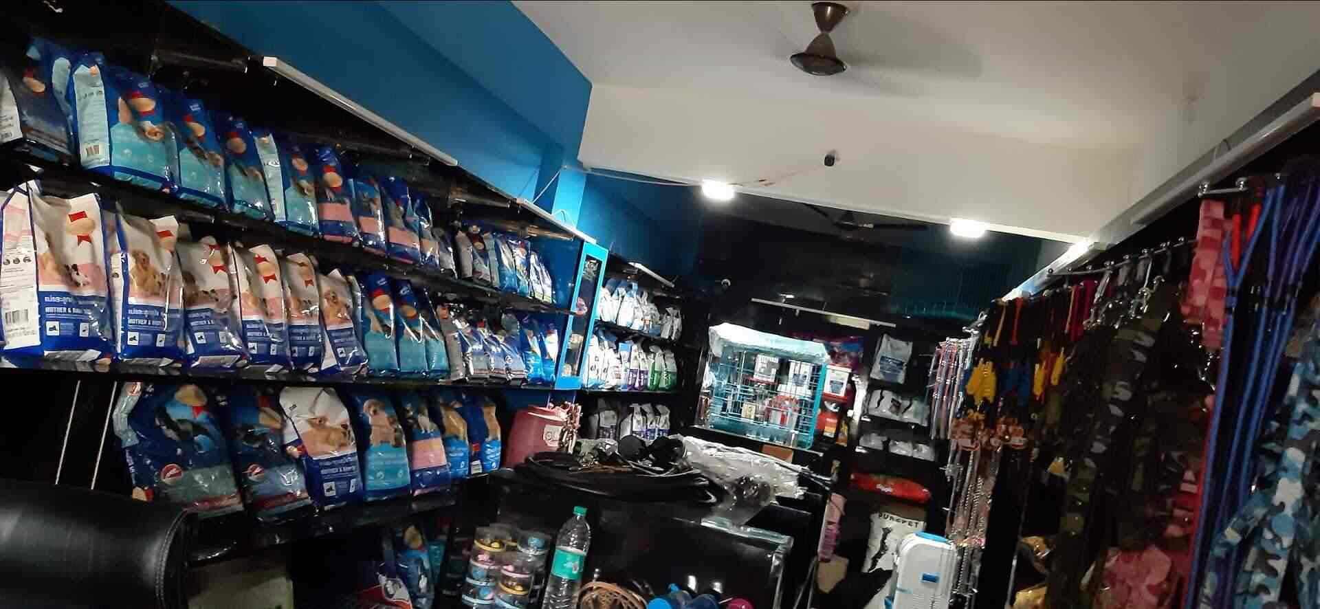 Bhola Shola Pet Shop in Opposite Khandelwal Foam Bareilly Best Pet Food Dealers near me in Bareilly Justdial