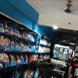 Bhola shola dog shop hotsell