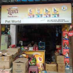 Pet world box clearance