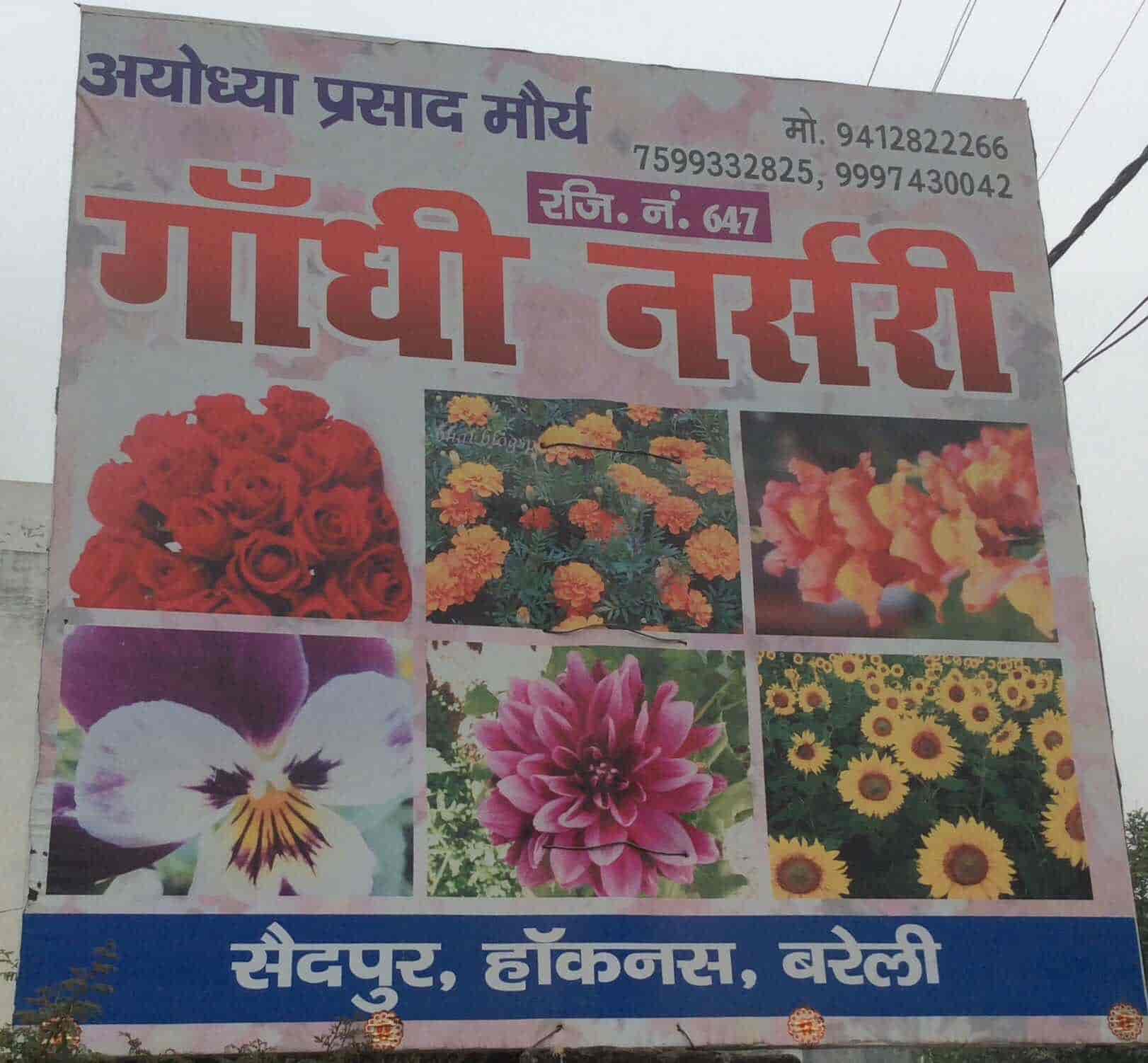 Gandhi Nursery, Izzat Nagar Plant Nurseries in Bareilly Justdial
