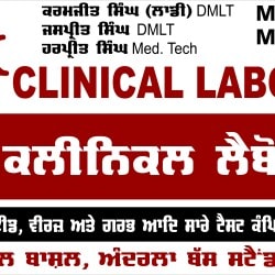 Lab view 13
