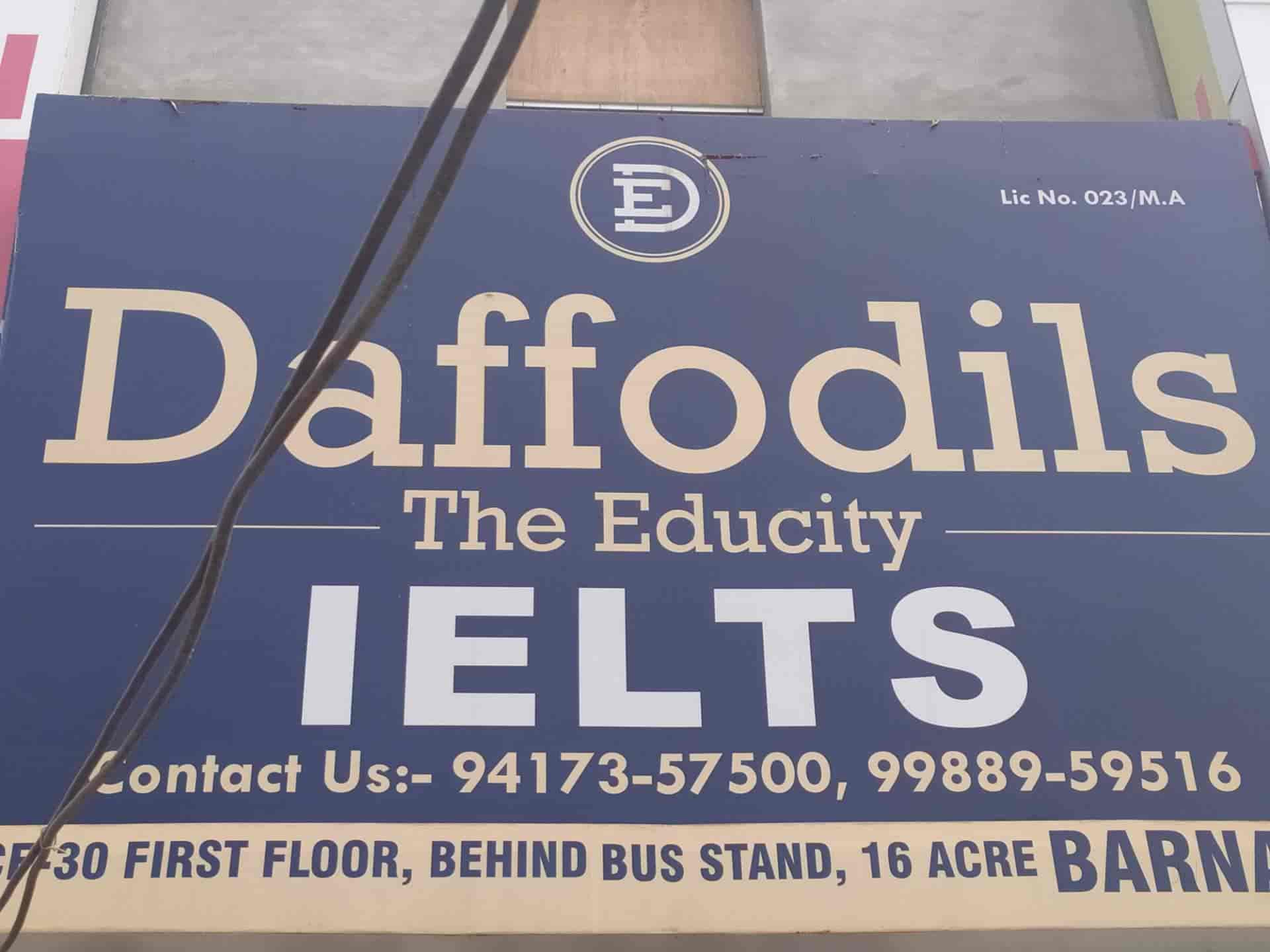 Top 20 Ielts Coaching Classes In Handiaya Best Ielts Institutes