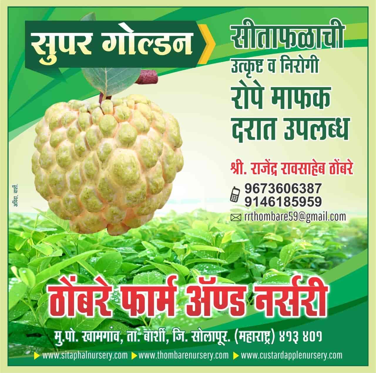 Top Plant Nurseries in Kannur Best Goverment Plant Nurseries near me