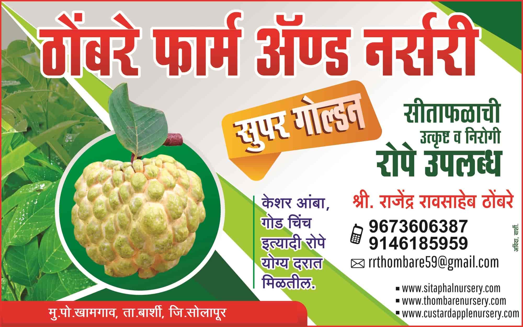 Top Plant Nurseries in Kannur Best Goverment Plant Nurseries near me