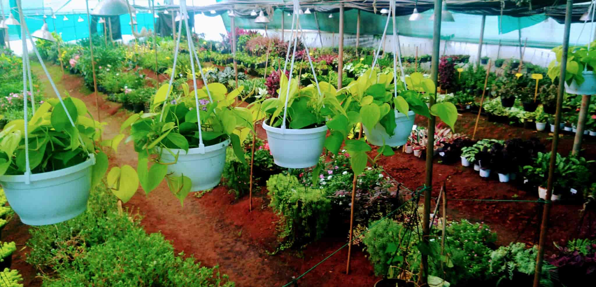 Top Concrete Flower Pot Dealers in Belgaum कंक्रीट फ्लावर पॉट डीलर्स, बेलगाउं near me Justdial