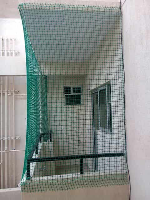 Ensuring Safety and Bird Control in South Sadar Bazar, Solapur: A Comprehensive Guide