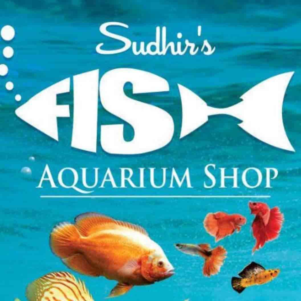 fish aquarium shops