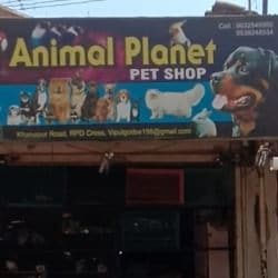 Animal Planet Pet Shop in Angol Belgaum - Best Pet Shops in Belgaum - Justdial Animal Planet Pet Shop in Angol Belgaum - Best Pet Shops in Belgaum - Justdial