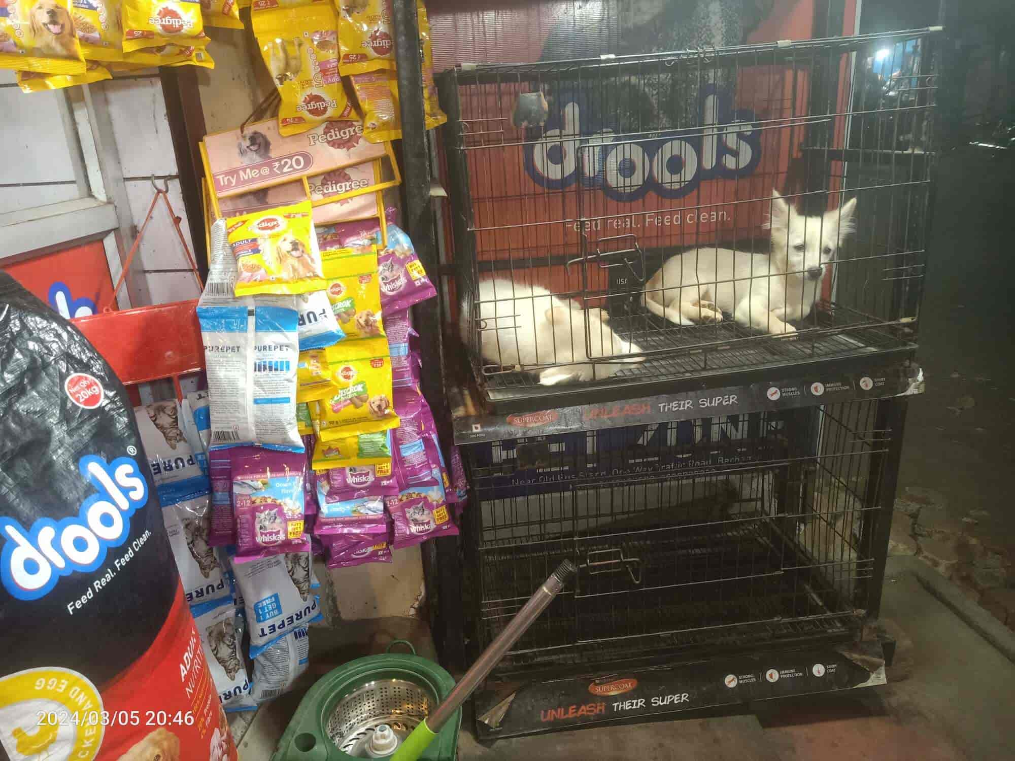 Top Pet Shops in Srikakulam Best Pet Store near me Justdial