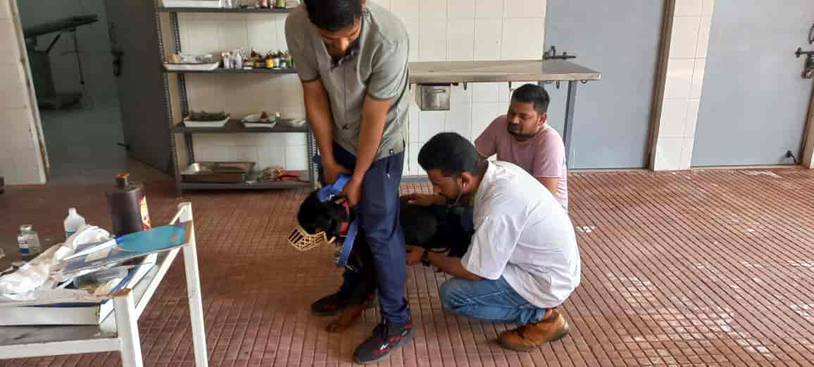 Mahatma Gandhi Veterinary College in Bharatpur Ho,Bharatpur Best