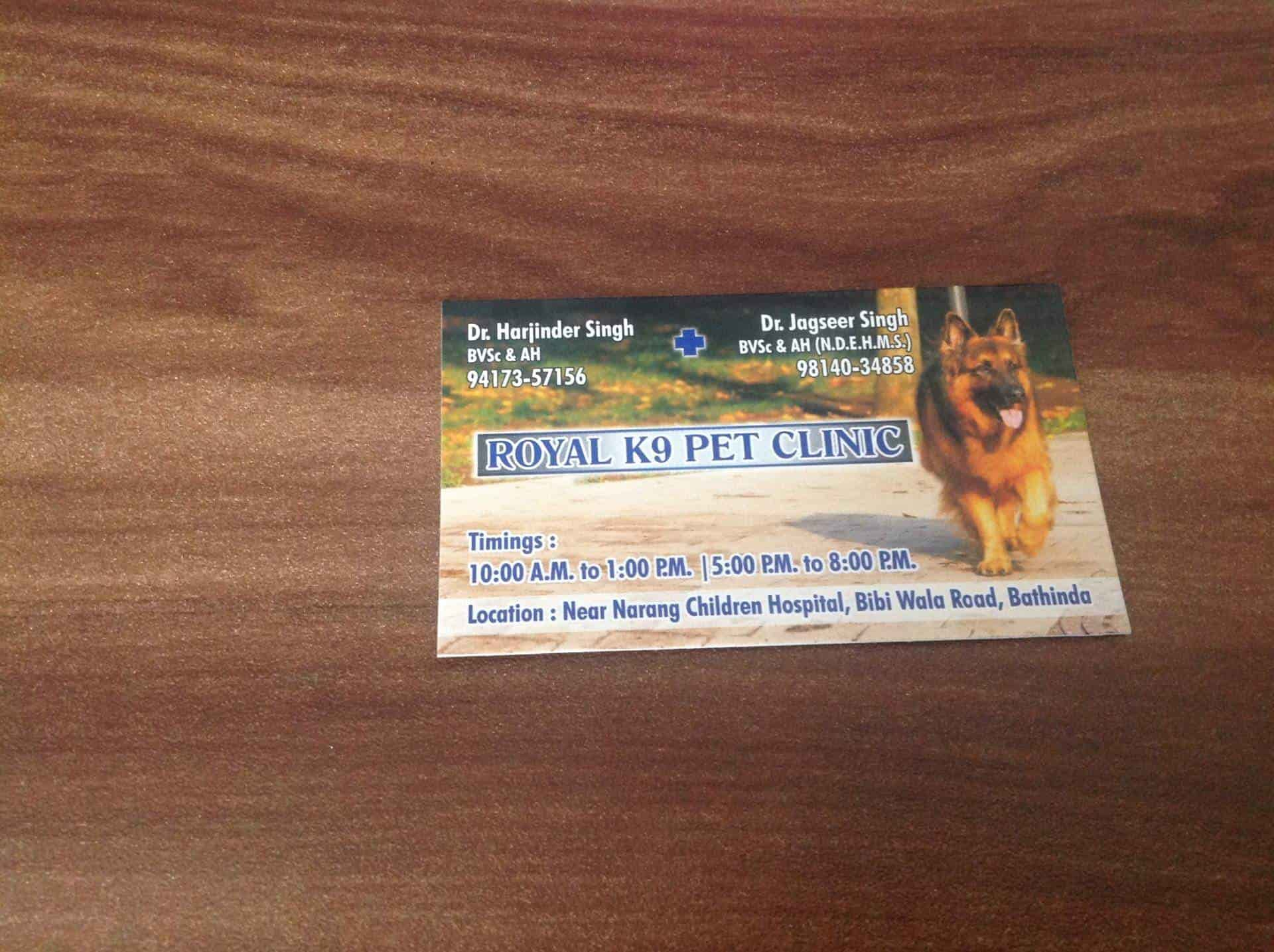 The best sale k9 clinic