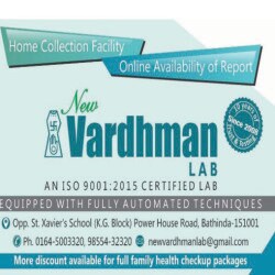 Lab view 5