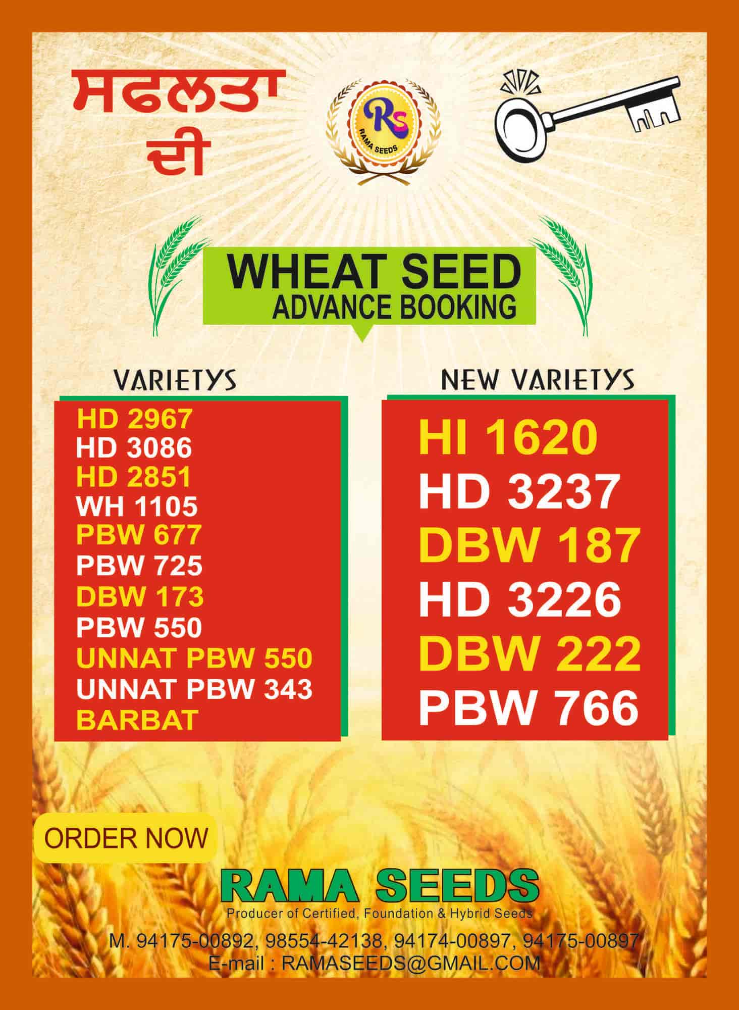 Top Wheat Seed Wholesalers in Bhatinda near me - Justdial
