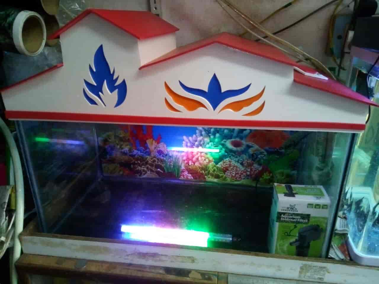 Top Pet Shops in Karwar Best Pet Store near me Justdial