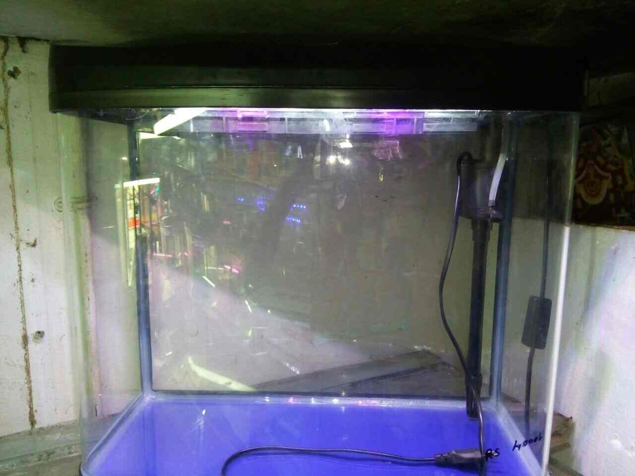 Top Pet Shops in Karwar Best Pet Store near me Justdial