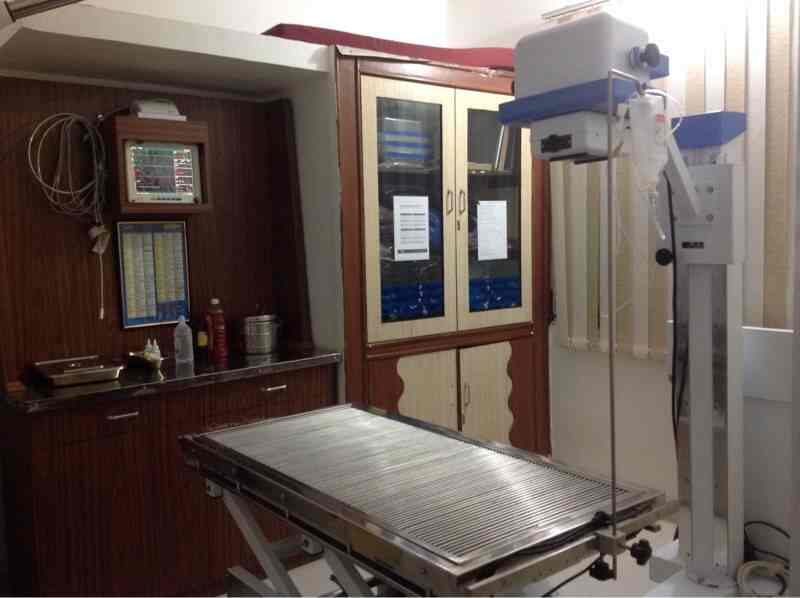 Top Pet Shops in Bhopal Best Pet Store near me Justdial