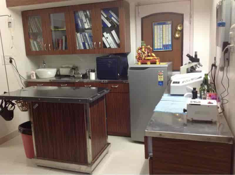 Top Pet Shops in Bhopal Best Pet Store near me Justdial