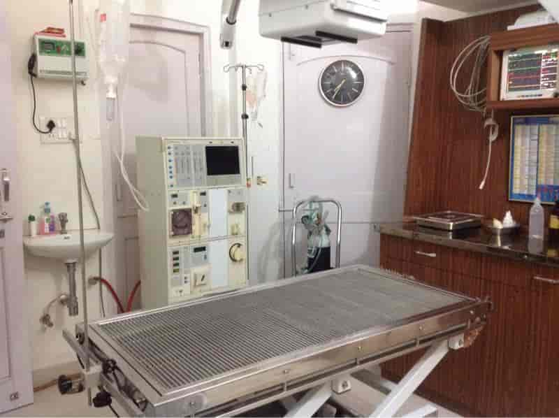 Top Pet Shops in Bhopal Best Pet Store near me Justdial