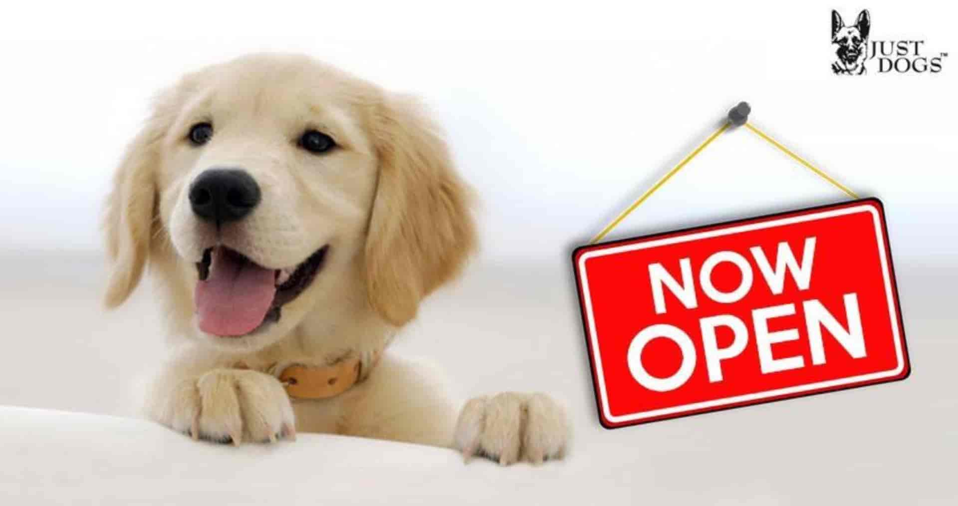 pet shops open near me now