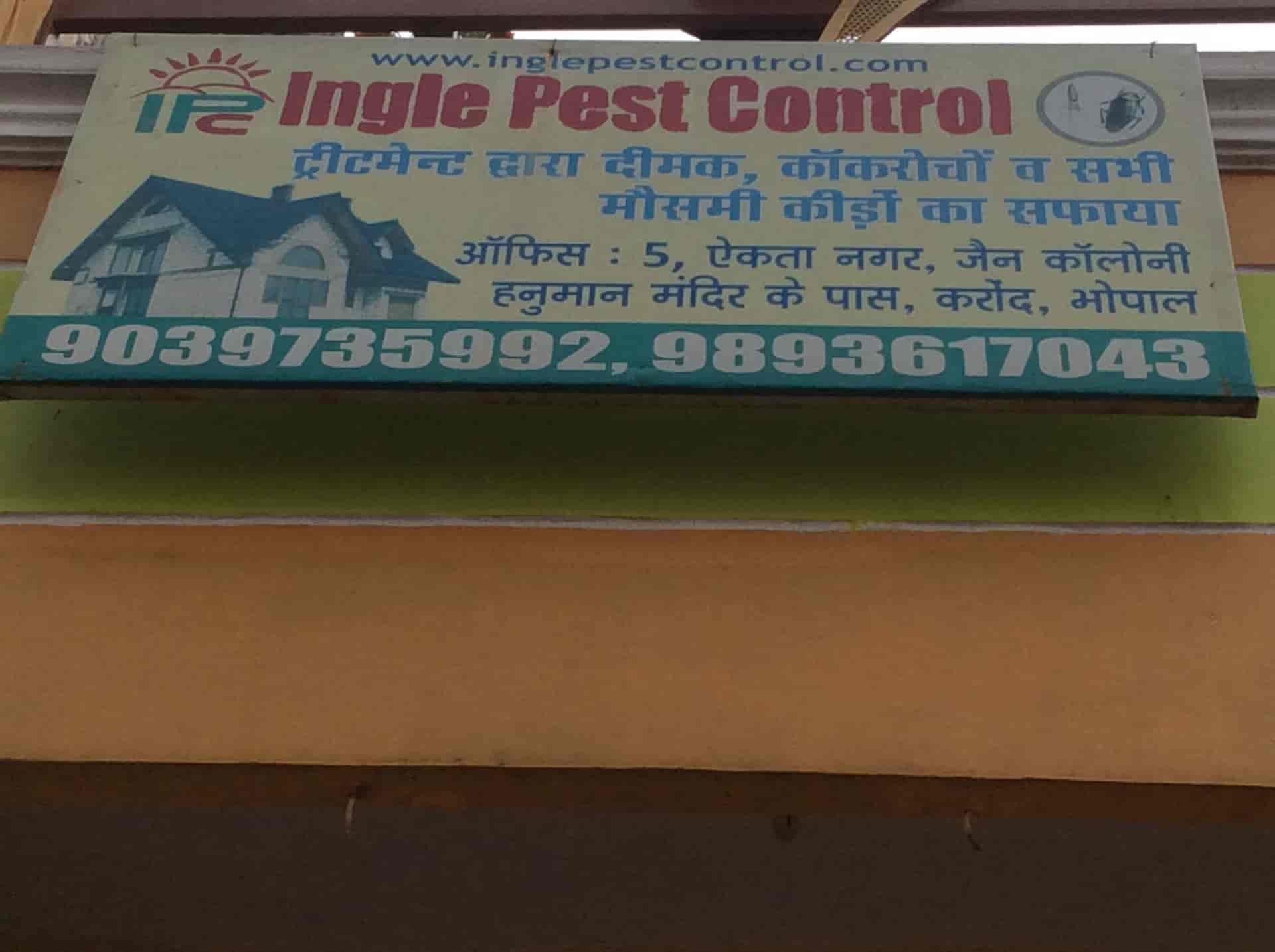 Top Pest Control Services For Snakes in Lucknow Best Pest Control