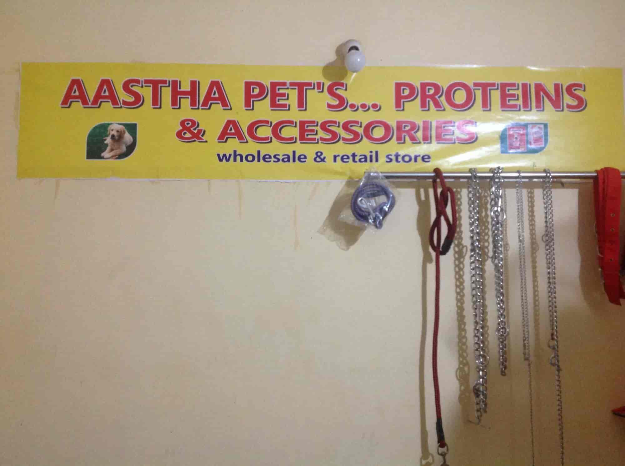 Aastha Pets Proteins And Accessories in Anand Nagar,Bhopal Best Pet