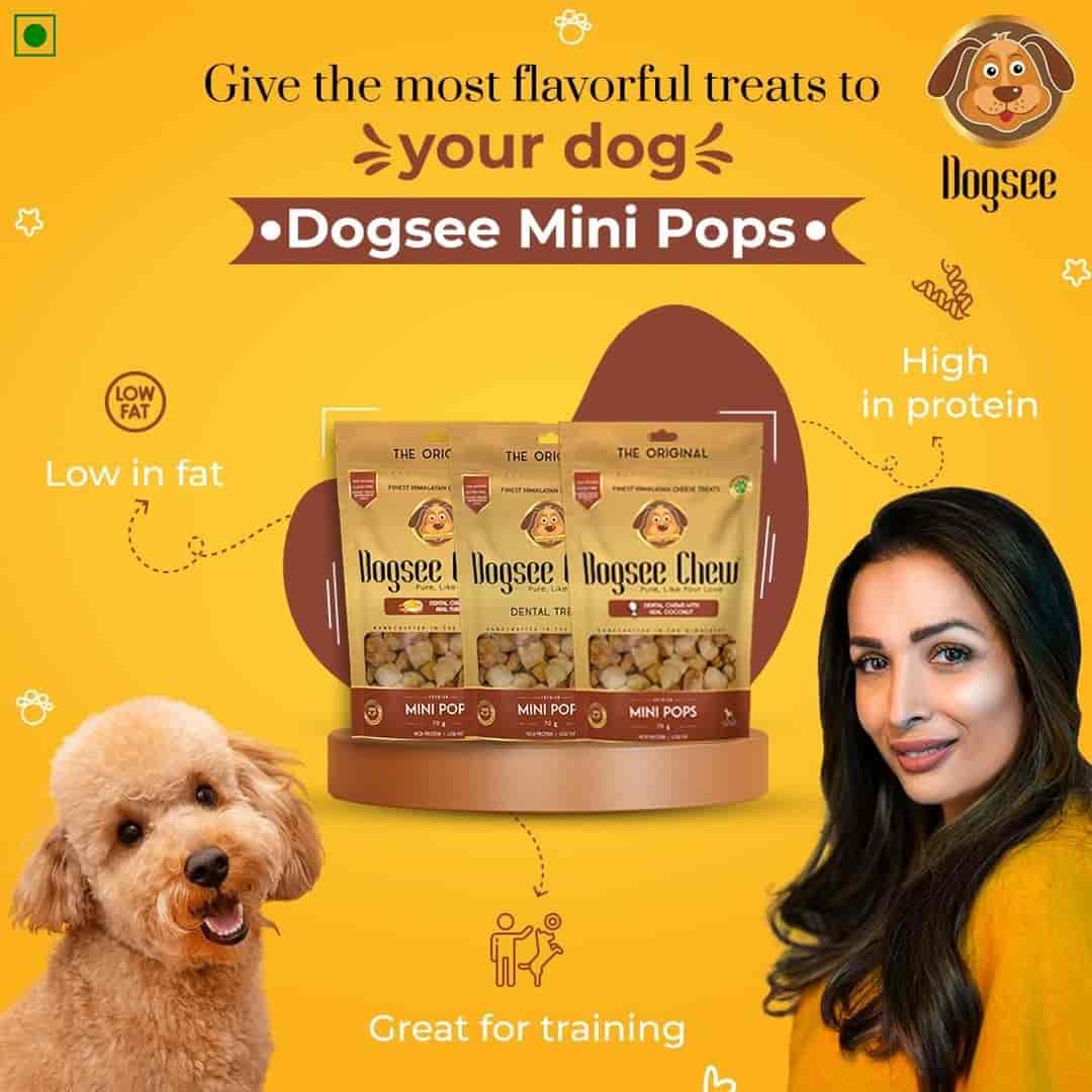 Top Pet Shops in Bhopal Best Pet Store near me Justdial