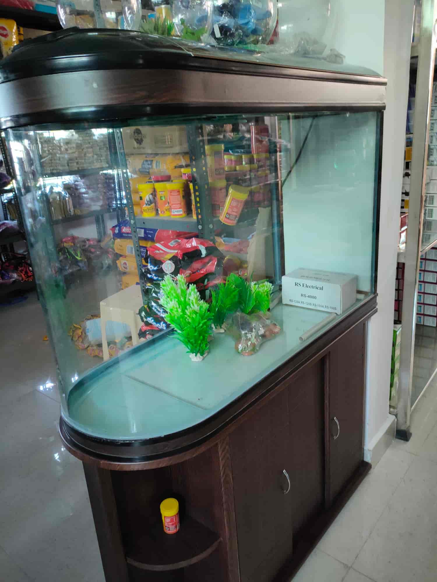 Top Aquarium Silver Arowana Fish Dealers in Bhopal near me Justdial