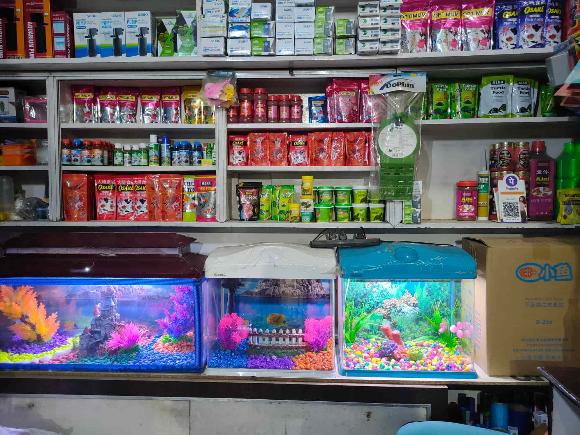 Top Aquarium Silver Arowana Fish Dealers in Bhopal near me Justdial