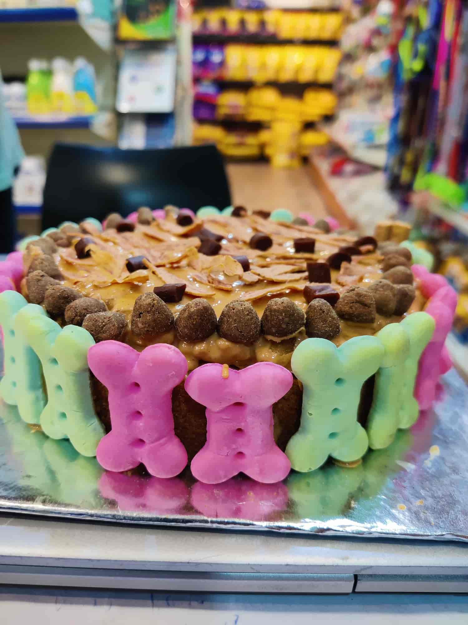 Top Pet Shops in Bhopal Best Pet Store near me Justdial