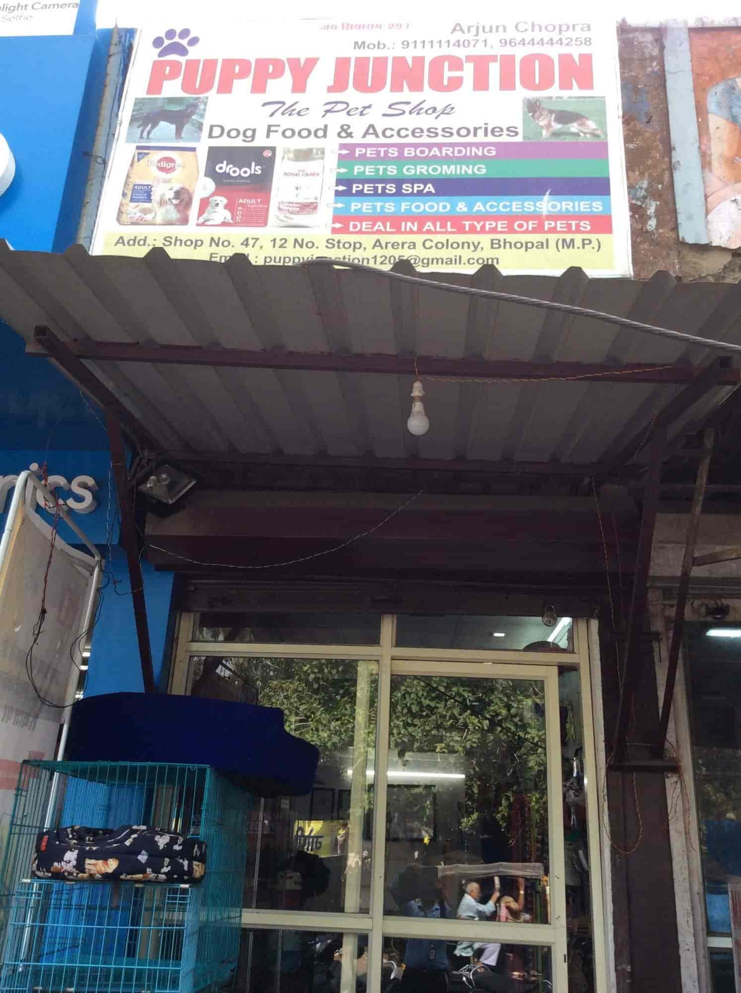 Top 20 Pet Shops For Pomeranian Dog In Bhopal Best Pet Shops For Pomerian Dogs Justdial