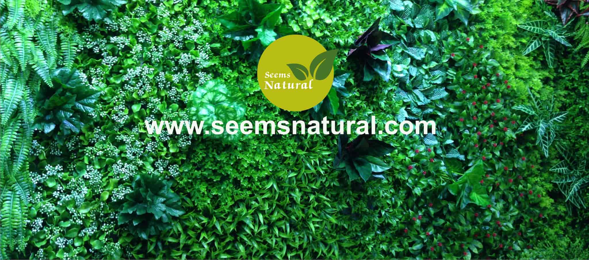 Top Artificial Flower Dealers in Bhopal Best Imitation Flower Dealers