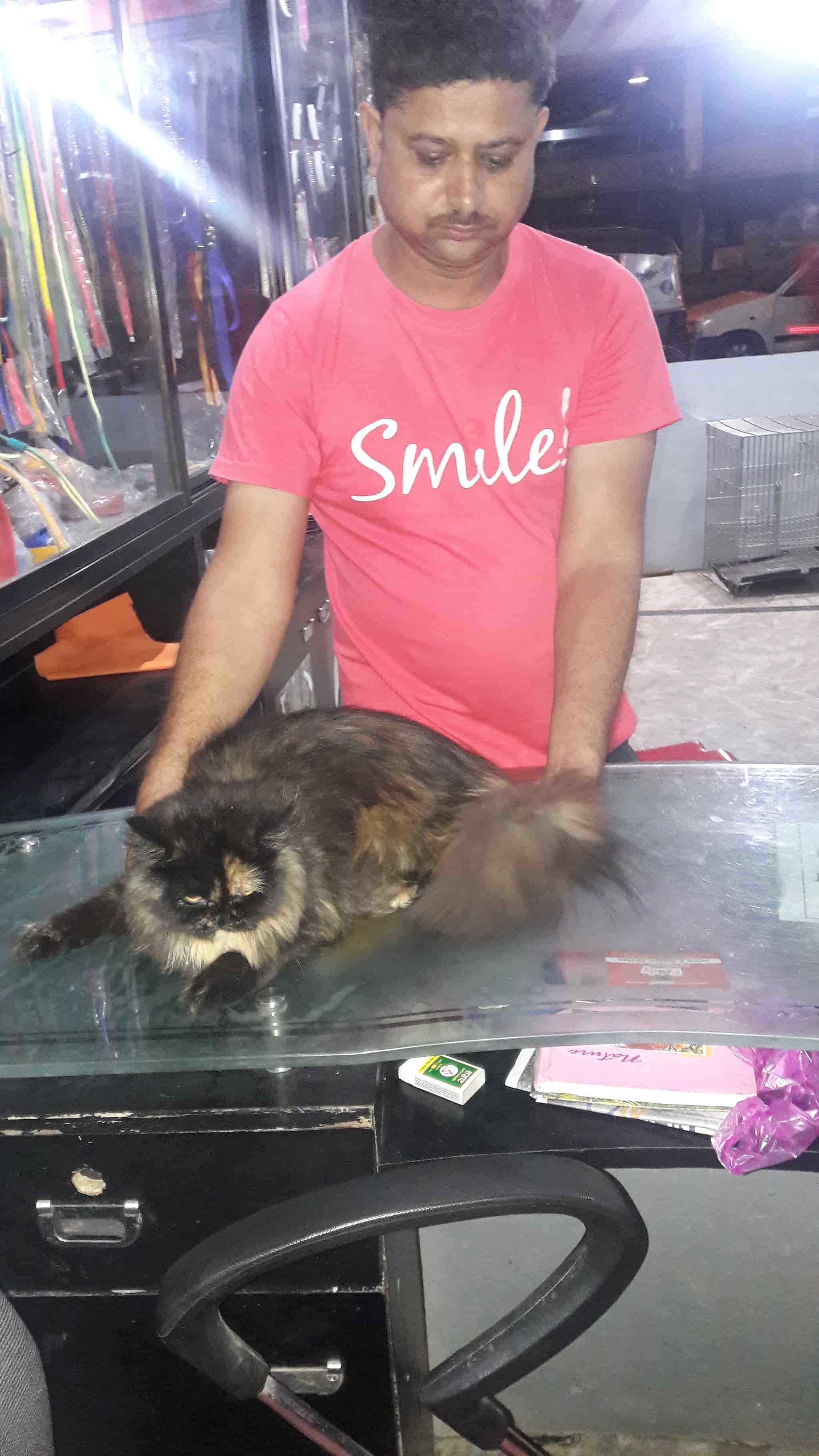 Top Pet Shops in Bhopal Best Pet Store near me Justdial