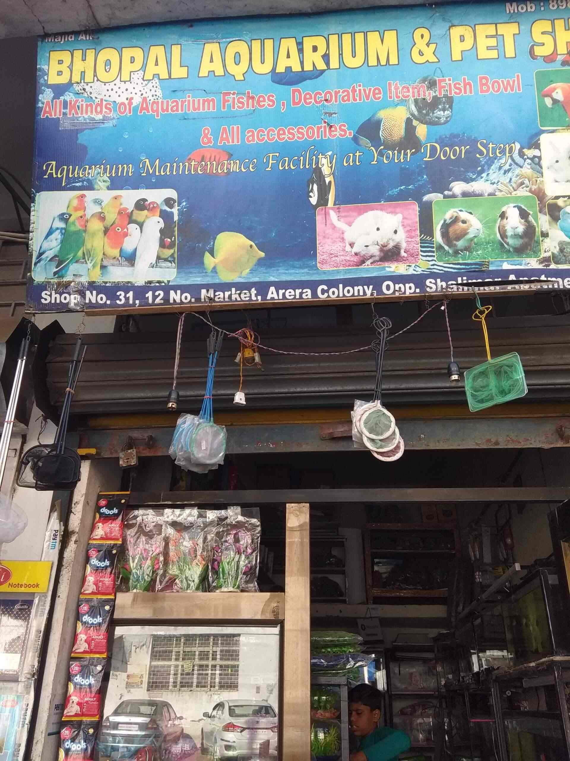 Bhopal Aquarium And Pet Shop, Arera Colony Pet Shops in Bhopal Justdial