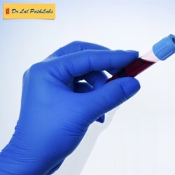 Lab view 6