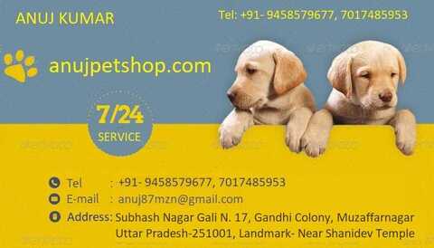 German shepherd hotsell online shopping