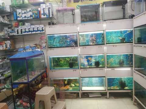 Pet mania near clearance me