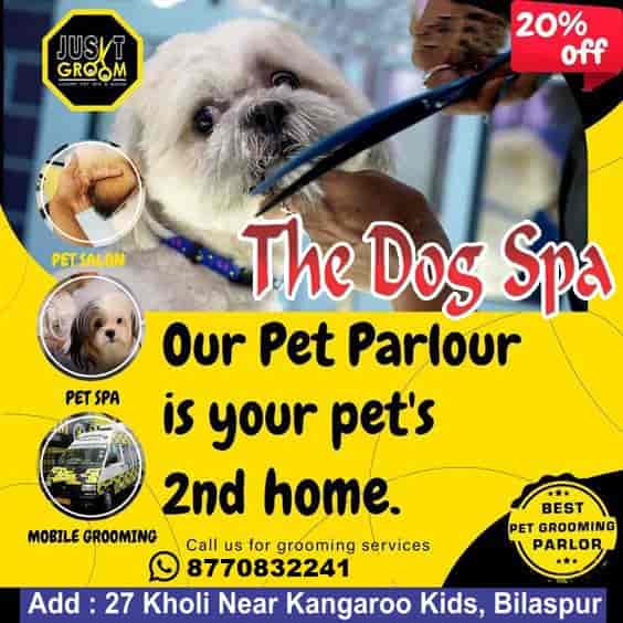 Dog Parlour Hair Cut For Dogs In Rajahmundry