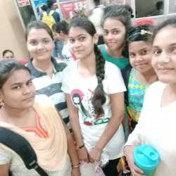 grey coach tabby pillow