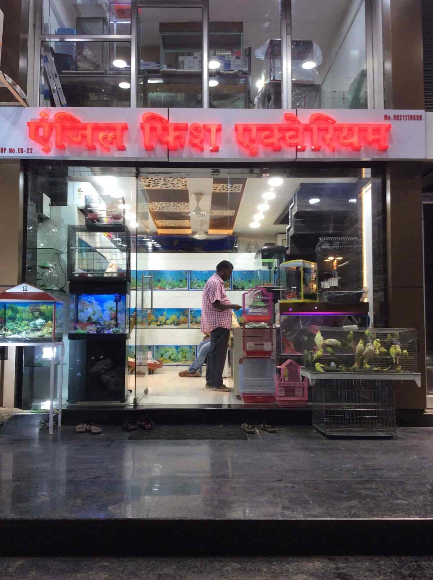 dog shop in bilaspur