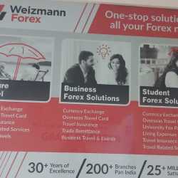Weizmann forex limited goats dodgers bets today