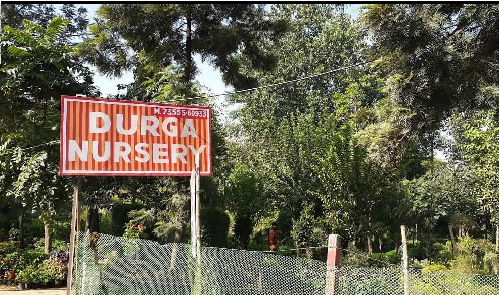 Catalogue Durga Nursery in Mani Majra , Chandigarh Justdial